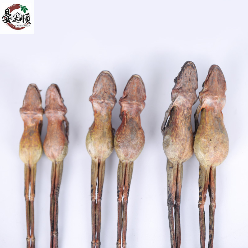 A large number of wholesale Jilin Changbai mountain specialty dry goods dried snow clam origin direct supply dried forest frog ingredients soaking water frog oil