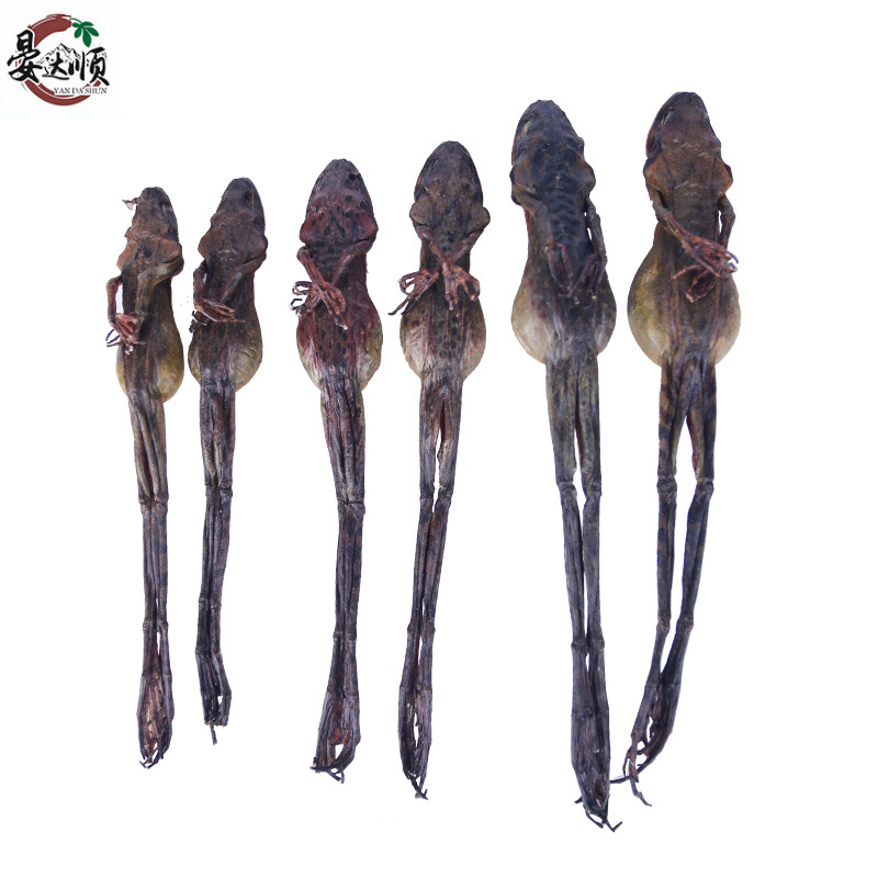 A large number of wholesale Jilin Changbai mountain specialty dry goods dried snow clam origin direct supply dried forest frog ingredients soaking water frog oil