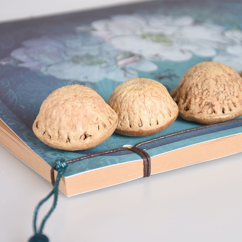 Original Color Fengliuguo New Goods Unsmoked Sulfur Chinese Medicinal Materials Guizizi Yishenzi Wine Ingredients Wholesale Tianzhu Capsuless