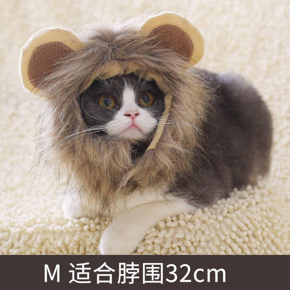 All Saints Ghost Day Dress-up Cat Dog Sell Cute Universal Adjustable Velcro Fall/Winter Lion Transformation Pet Hat
