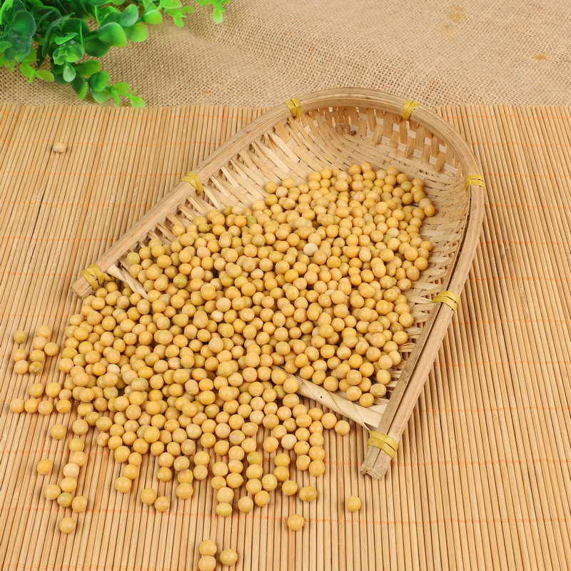 Wholesale Northeastern Soybeans, Heilongjiang Soybeans, Whole Grains, Soy Milk Raw Materials, Beans from Farm Land, in Stock, Non-Gmo