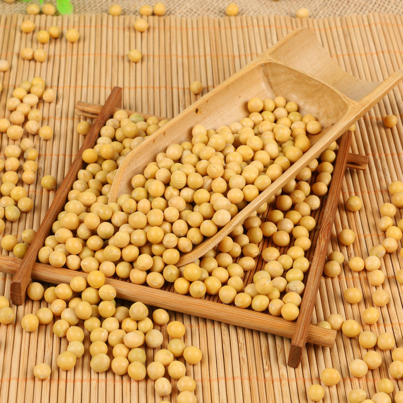 Wholesale Northeastern Soybeans, Heilongjiang Soybeans, Whole Grains, Soy Milk Raw Materials, Beans from Farm Land, in Stock, Non-Gmo