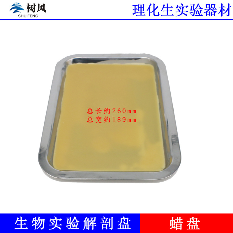 Dissecting plate biological dissecting plate biological wax plate wax plate biological teaching experimental supplies teaching instrument