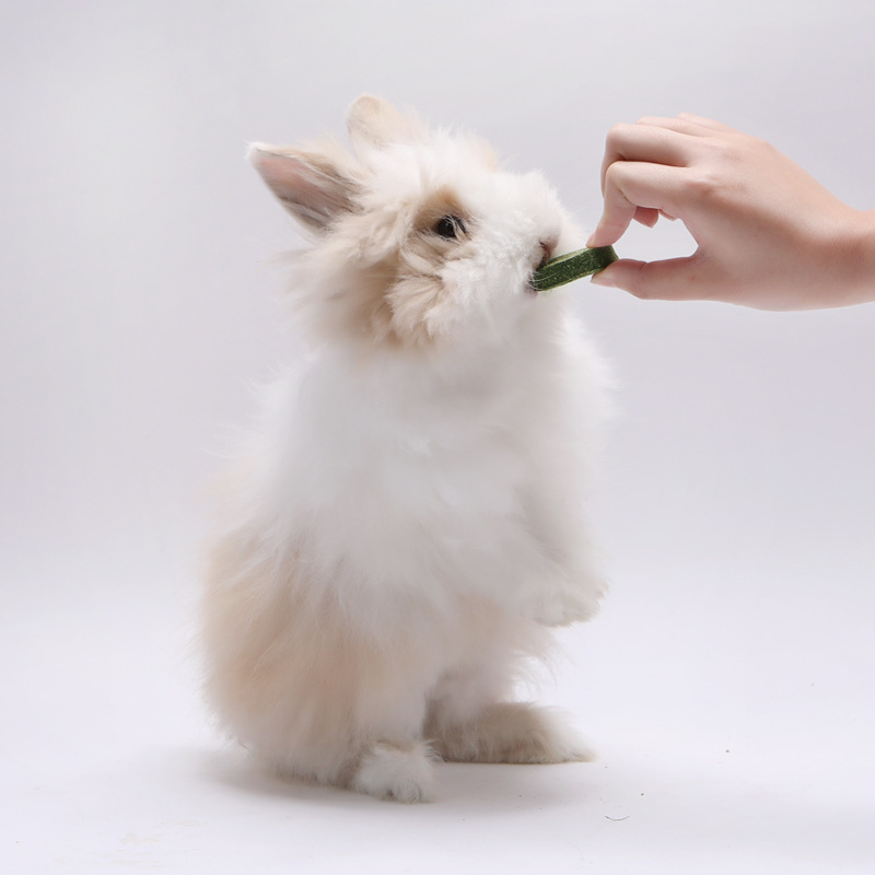 Jesse Alfalfa Molar Grass Cake Grass Brick Rabbit Chinchilla Guinea Pig Guinea Pig Pet Rabbit Molar 10 Pack