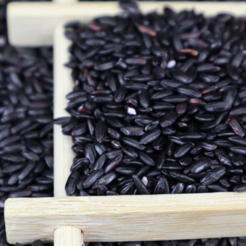 A large number of wholesale black rice northeast black fragrant rice five grains coarse grains black rice black rice large favorably
