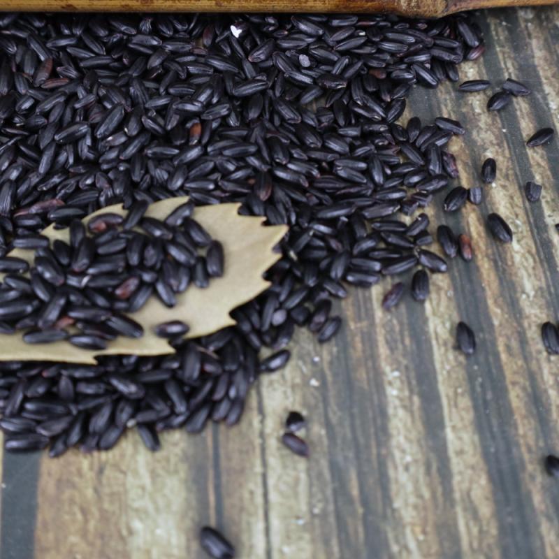 A large number of wholesale black rice northeast black fragrant rice five grains coarse grains black rice black rice large favorably