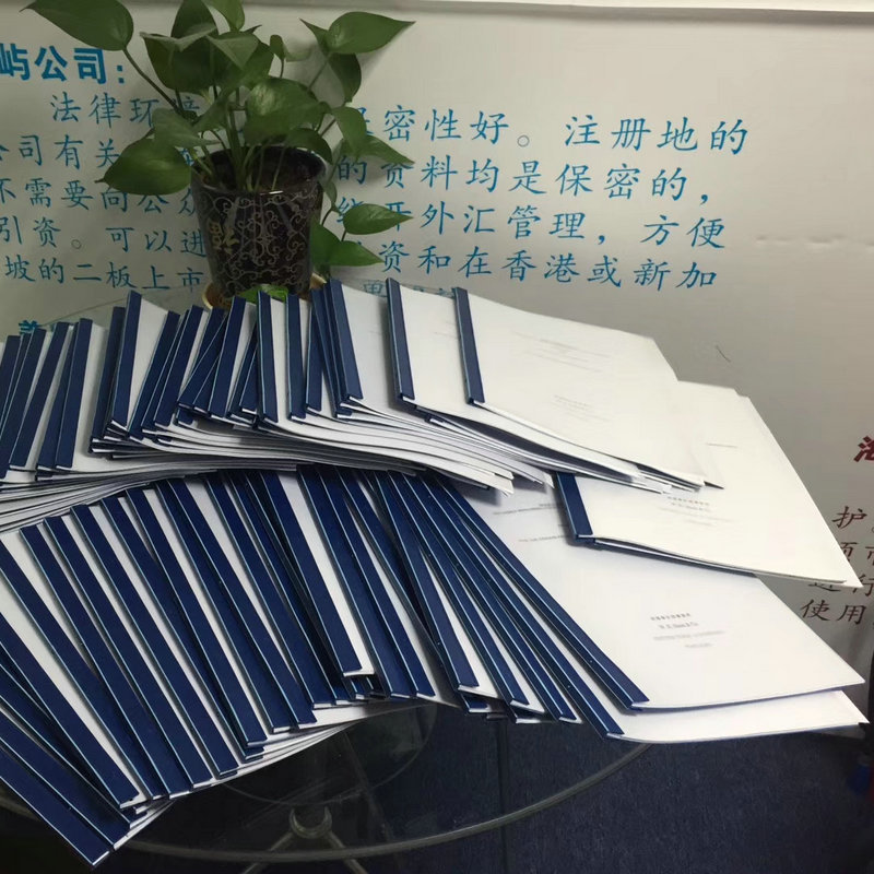 Shenzhen Company Annual Inspection and Annual Report Filing Agent, Individual Business Annual Review, Enterprise Agency, Professional Enterprise Annual Report Filing Agent