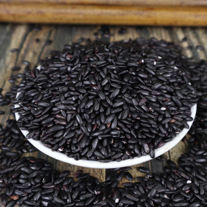 A large number of wholesale black rice northeast black fragrant rice five grains coarse grains black rice black rice large favorably