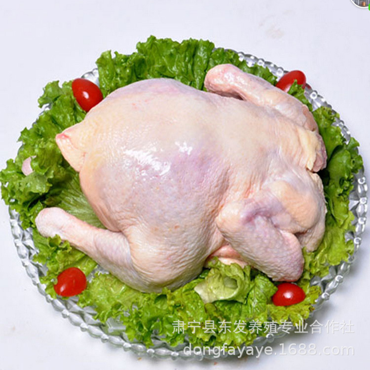 Dongfa Breeding Factory Wholesale Frozen Fresh Old Chicken Chicken Fresh淘汰 Chicken Whole Chicken