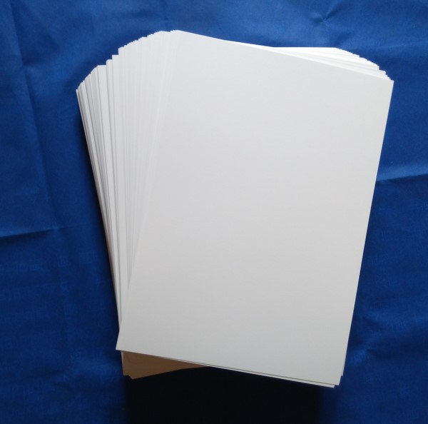 Urged LeAf Specimen TAble PAper/plAnt Specimen PAper (A4) 297*210mm