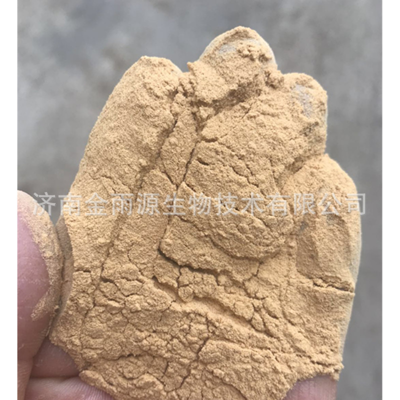 Yeast Extract Powder Biochemical Reagents Microbial Fermentation Medium Wholesale and Retail Yeast Powder Yeast Extract Powder