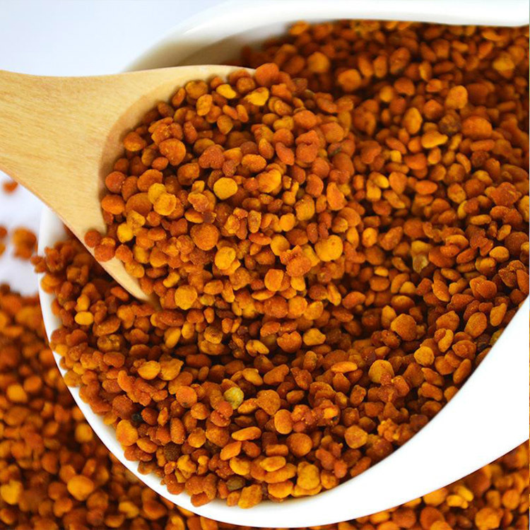 Camellia pollen Camellia pollen bee pollen Camellia powder one-piece delivery