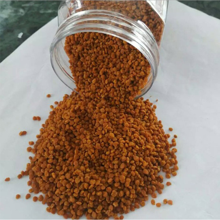 Camellia pollen Camellia pollen bee pollen Camellia powder one-piece delivery