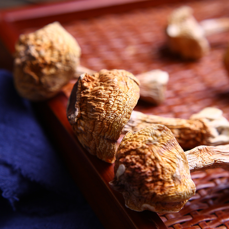 Yunnan specialty Tricholoma matsutake primary supply wholesale Brazil mushroom edible Agaricus blazei origin direct sales large favorably