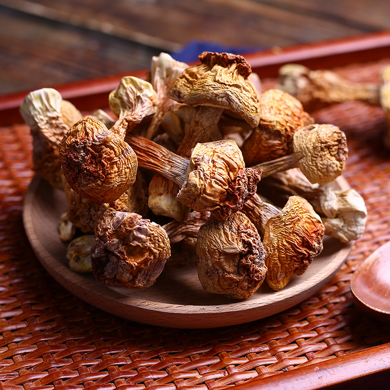 Yunnan specialty Tricholoma matsutake primary supply wholesale Brazil mushroom edible Agaricus blazei origin direct sales large favorably