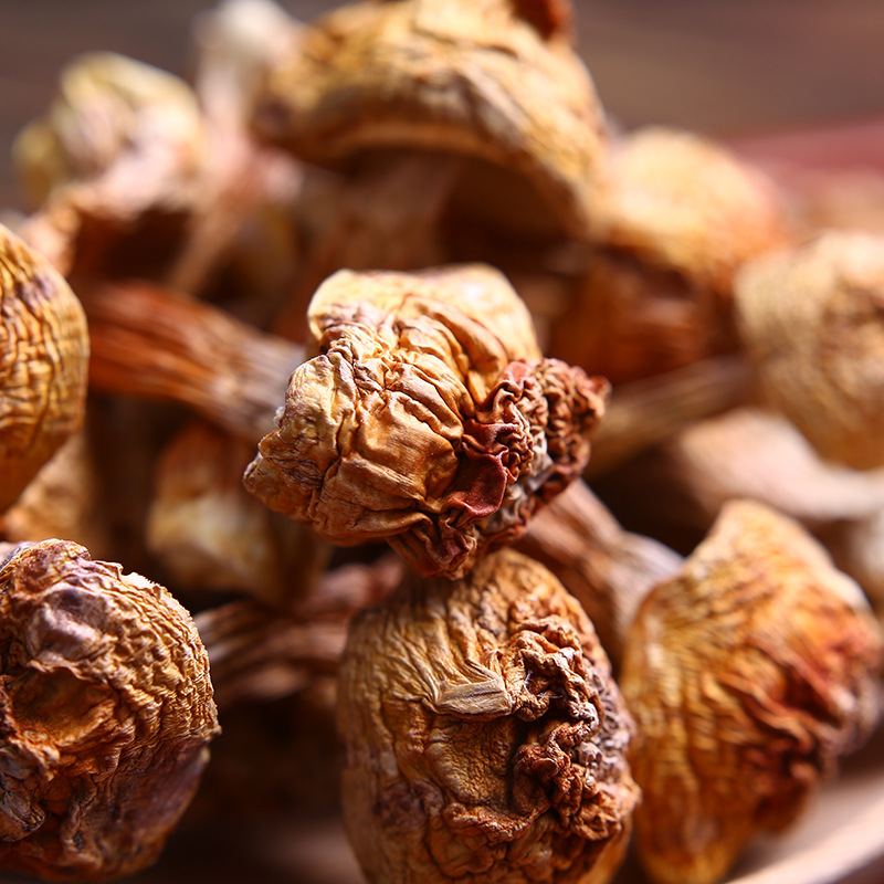 Специальность Юннаня Трихолома матсутаке оптовая поставка грибов Бразилия съедобный Агарикс Блазеи прямые продажи