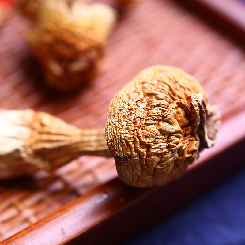 Yunnan specialty Tricholoma matsutake primary supply wholesale Brazil mushroom edible Agaricus blazei origin direct sales large favorably