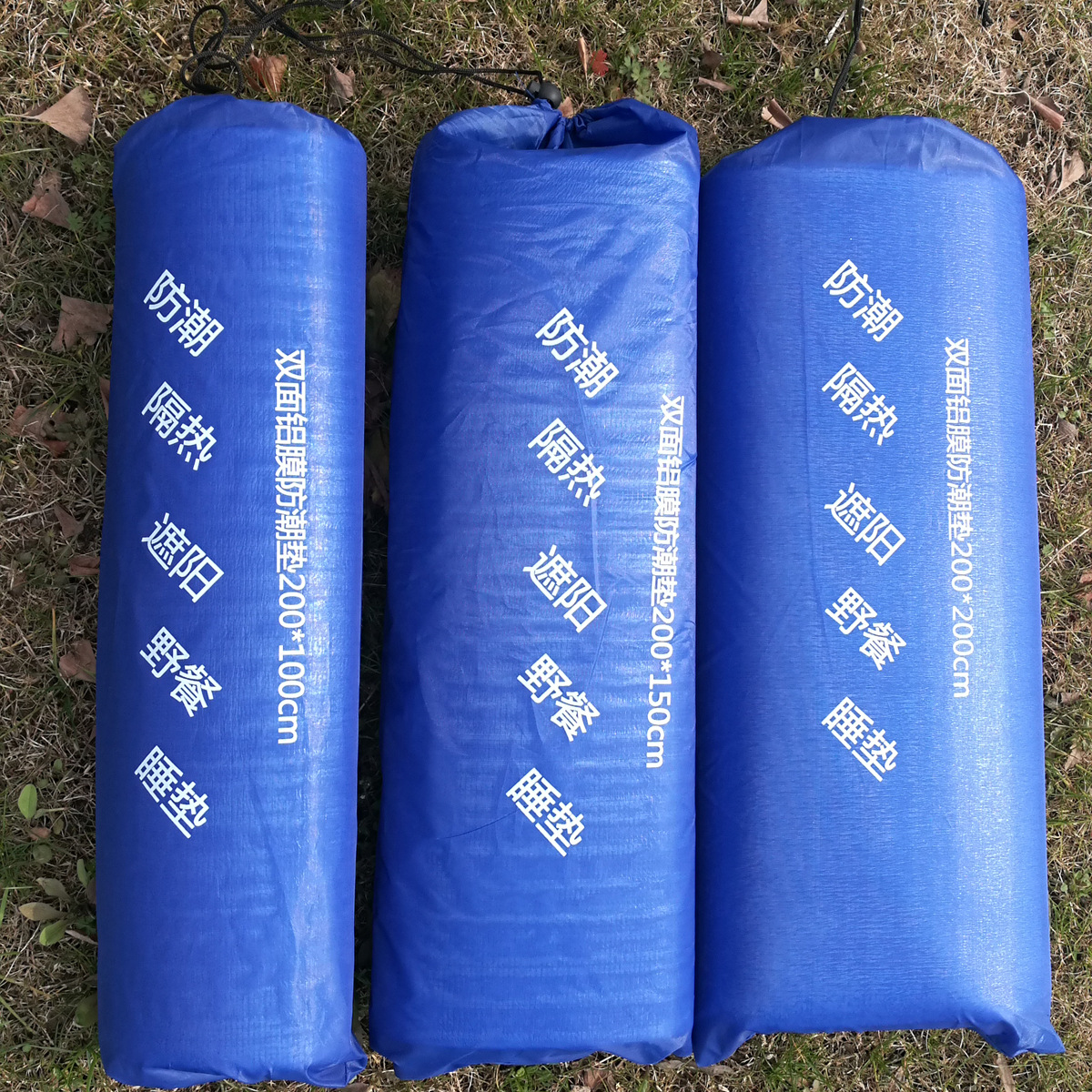 Double-Sided Aluminum Film Moisture-Proof Mat Emergency Disaster Relief Camping Style Ultra-Light Waterproof Moisture-Proof Warm Camping Mat