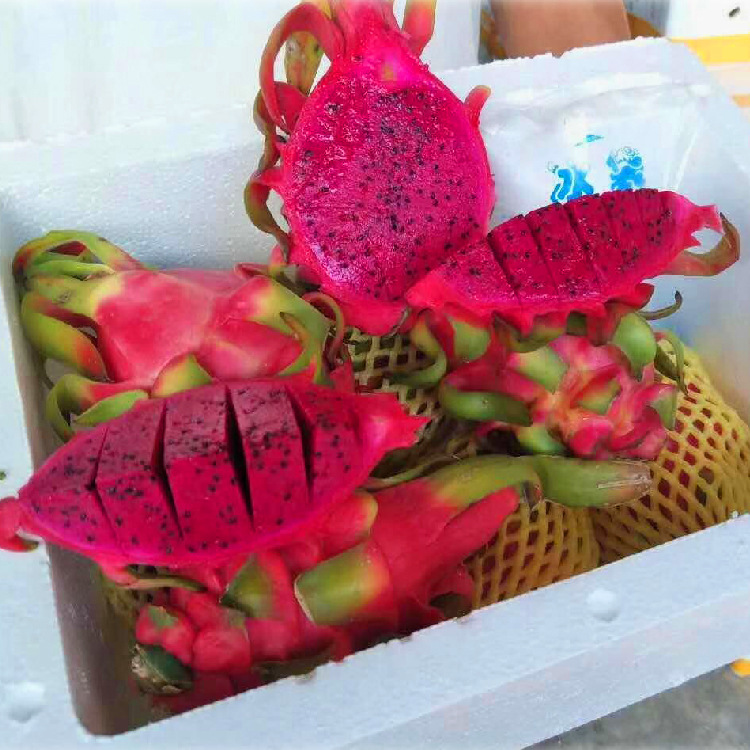 [Year-Round] Tropical Fruit Red Heart Pitaya Kyoto No. 1 Red Heart Pitaya Seasonal Fresh Fruit for Pregnant Women