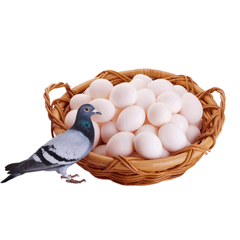 40 Pieces of Edible Local Specialty Pigeon Eggs, One Piece of Fresh Farm Grains, Free Range Pigeon Eggs, Free Shipping with Sf Express