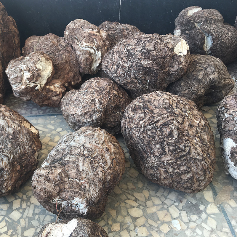 Poria, Yunnan Origin, Yunnan, White Poria, Yunling, Poria, Shen, Chinese Medicinal Material Poria