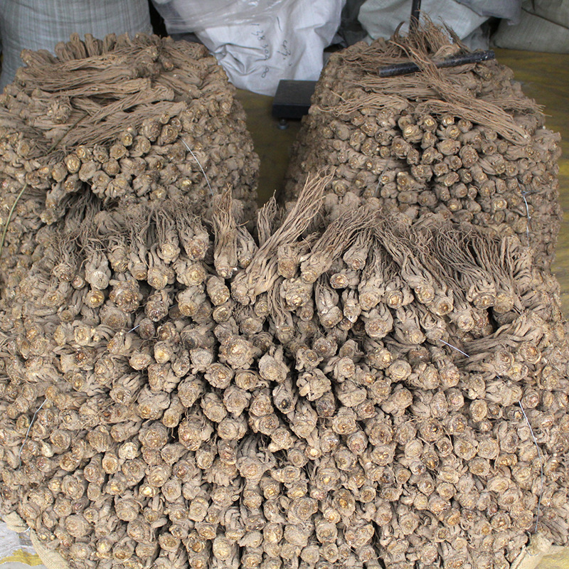 12-15 Pieces 0.5kg Large Angelica Strips Wholesale Free Shipping Gansu Minxian Mao Angelica Chinese Medicinal Materials Non-Sulfur Whole Angelica Pieces