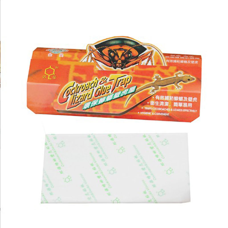 Dachau Physical Cockroach House Cockroach House Cockroach Kill Clear Adhesive House Factory Price Direct Wholesale