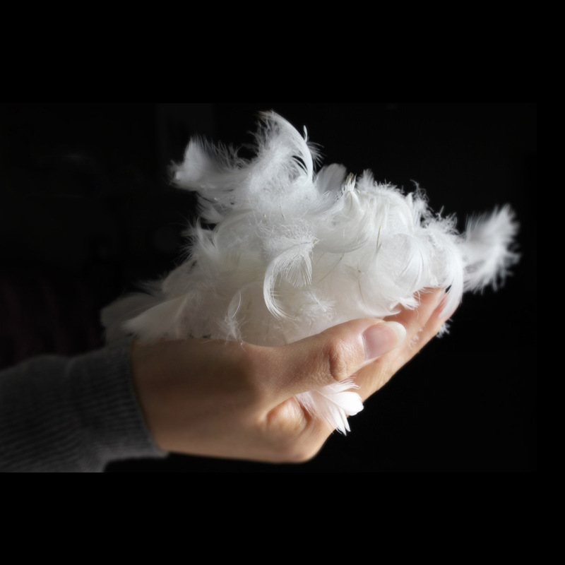 Five-star hotel pillow pillow core goose down pillow genuine single adult goose feather pillow core wholesale