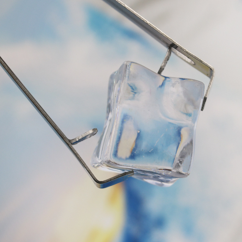 Stainless Steel Ice Clips, Ice Cube Clips, Stainless Steel Food Clips, Magnetic Ice Clips, Barbecue Clips