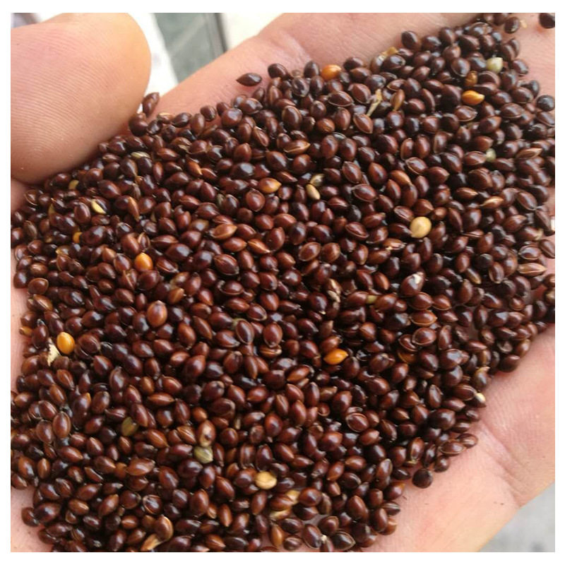 Wholesale Red Millet, Multigrain Red Millet, Five-Color Millet, Millet with Black and White Millet, Bird Food, Toy Filling Wholesale