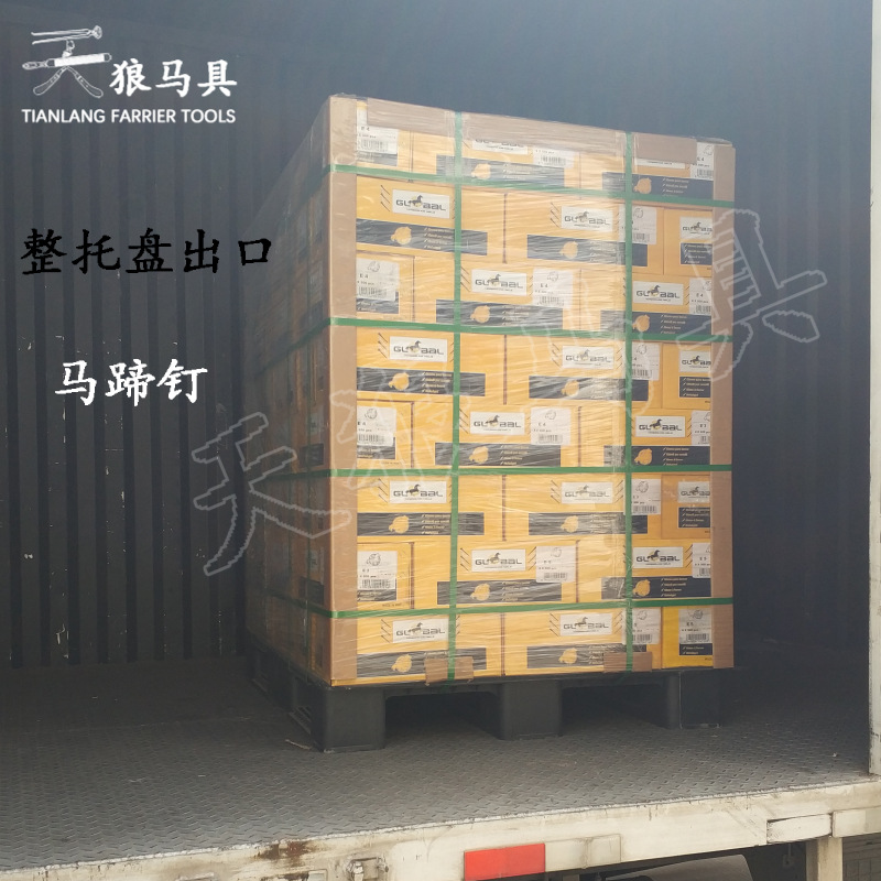 Horseshoe Nails, Horse Palm Nails, Hoof Iron Nails, Horse Training Equestrian Sports Supplies, Harness Repair Nails, Palm E Series