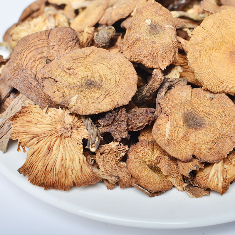 Northeastern Mushroom Yellow Mushroom Wild Hazel Mushroom Dry Mushroom Hazel Mushroom 500g Wild Hazel Mushroom