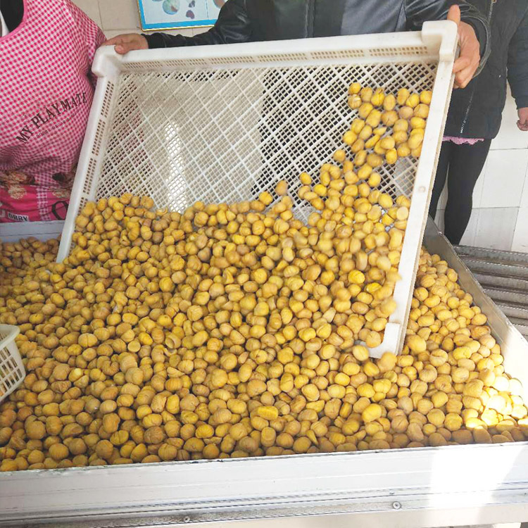 20 Jin a box of large particles Qianxi chestnut kernel quick-frozen chestnut kernel storage convenient factory direct package zongzi for cooking