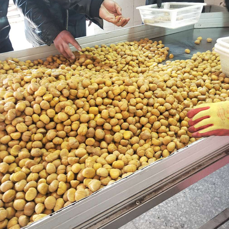 20 Jin a box of large particles Qianxi chestnut kernel quick-frozen chestnut kernel storage convenient factory direct package zongzi for cooking