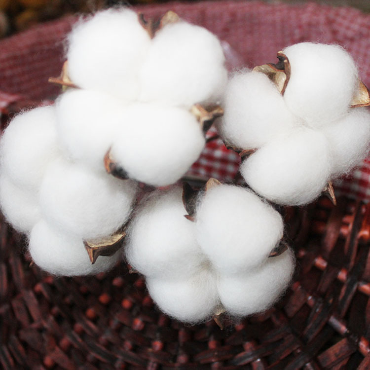 Xinjiang natural cotton dried flower bouquet artificial flower cotton head hand-embossed permanent flower specimen DIY material bag