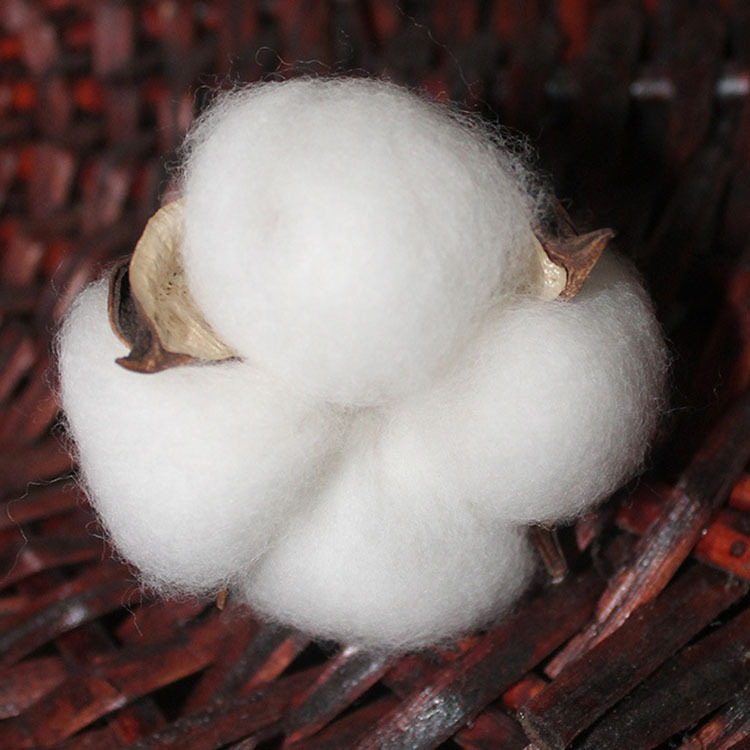 Xinjiang natural cotton dried flower bouquet artificial flower cotton head hand-embossed permanent flower specimen DIY material bag