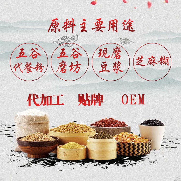 Cooked Cucumber Seeds, Cucumber Seeds, Grain Mill Raw Materials, Meal Replacement Powder Raw Materials, Exhibition Raw Materials, Grain Powder, Grain Noodle Raw Materials