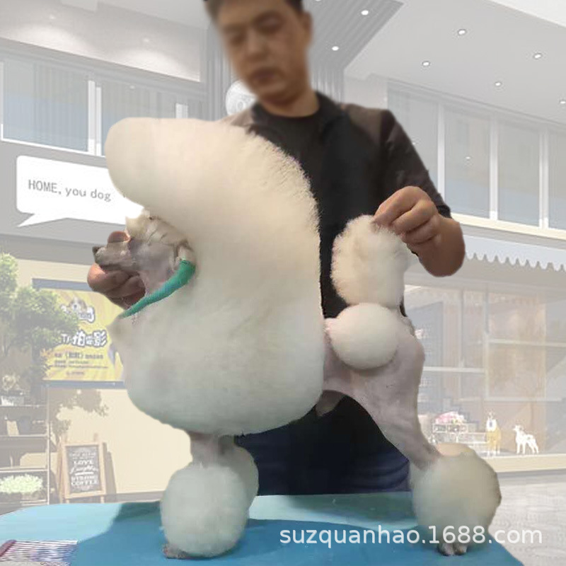 Pet beautician work clothes waterproof anti-hair clothes pet shop beauty robe pet beauty school suit wholesale