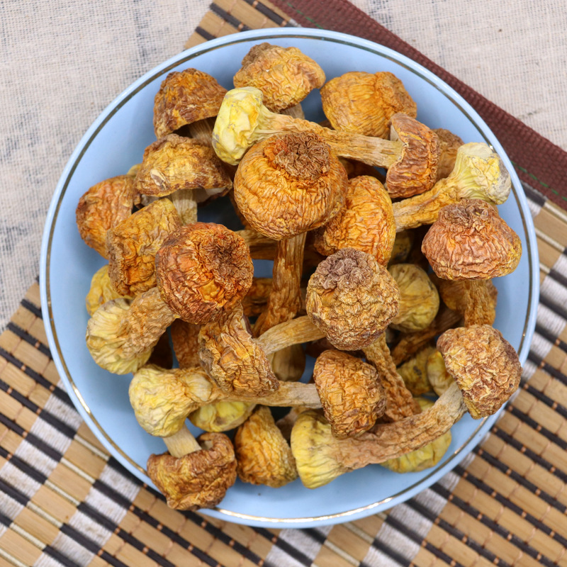 Yunnan Agaricus blazei dried goods wholesale new products Brazil mushroom edible fungus mushroom 500g bulk pine mushroom