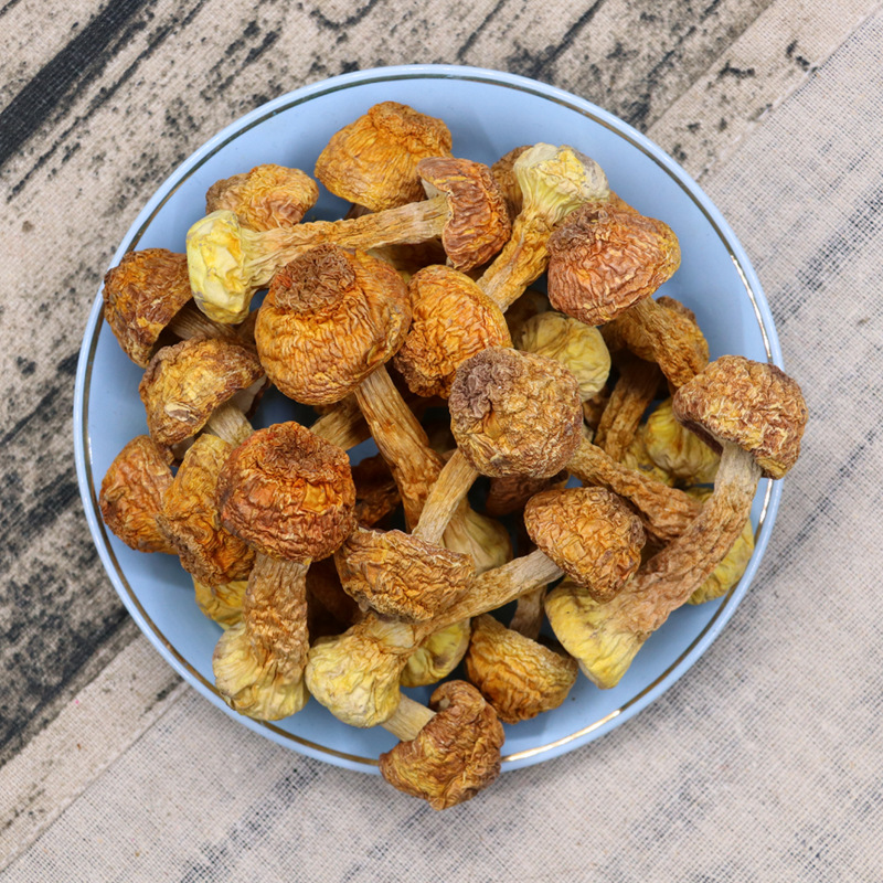 Yunnan Agaricus blazei dried goods wholesale new products Brazil mushroom edible fungus mushroom 500g bulk pine mushroom