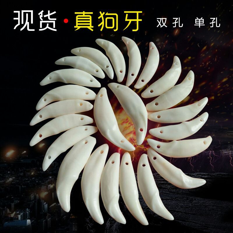 Real Dog Tooth Wholesale Tooth Pendant Bleached Black Dog Tooth Xizang Silver Necklace Jewelry Xizang Silver with Pendant Pig Bone Double