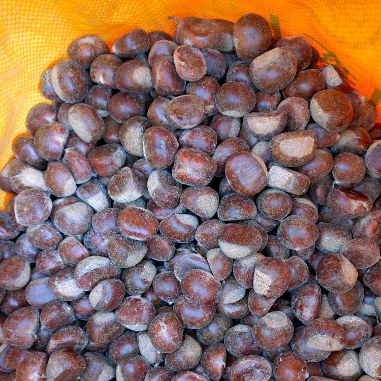 2025 Qianxi Chestnut Sugar-Cooked Chestnut Store Favorite, Fast Logistics with 24-Hour Delivery, Year-Round Wholesale of Fresh Sweet Chestnuts