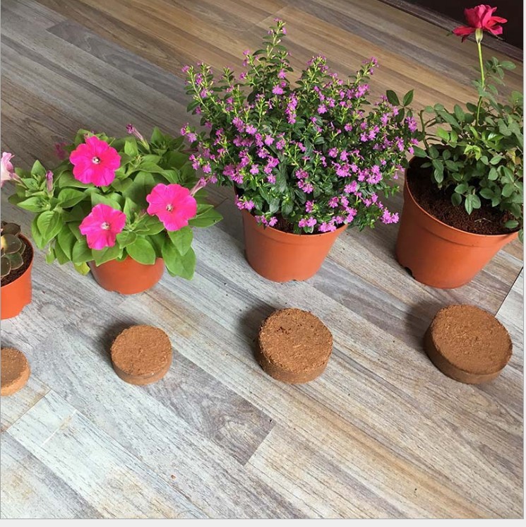 Coconut cake planting soil coconut brick cake potted compressed soil nutrient block fertilizer nutrient soil flower nutrient soil