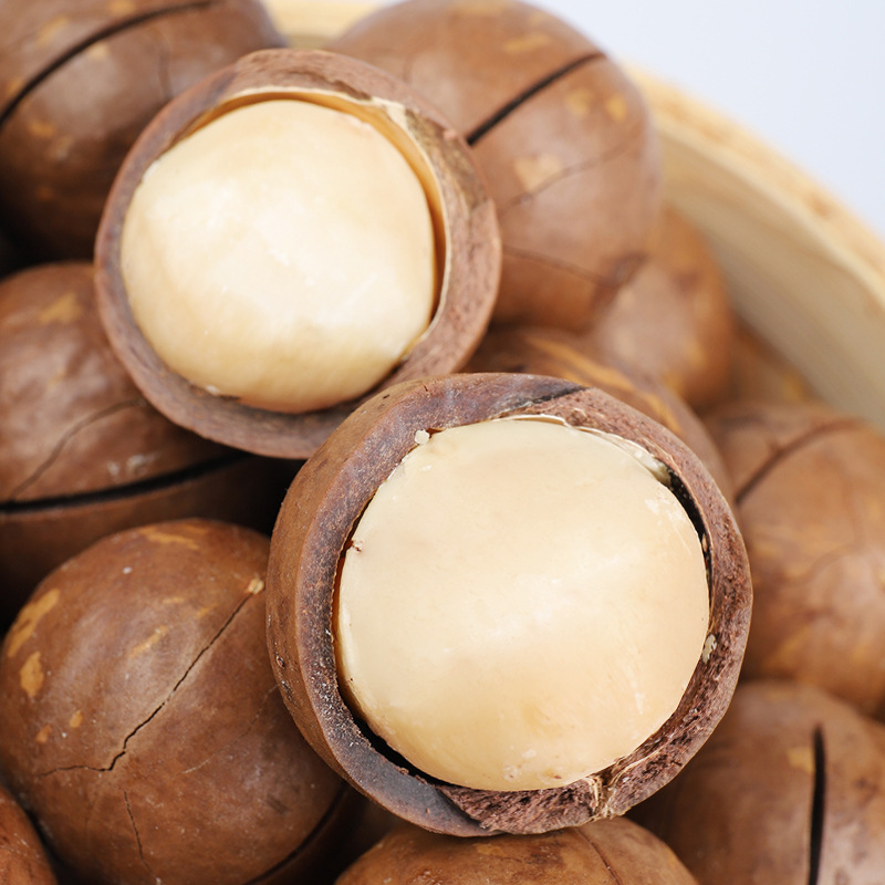 Medium Capsules Macadamia Nuts Factory Direct 5kg / Box Wholesale Price Nuts Supplier