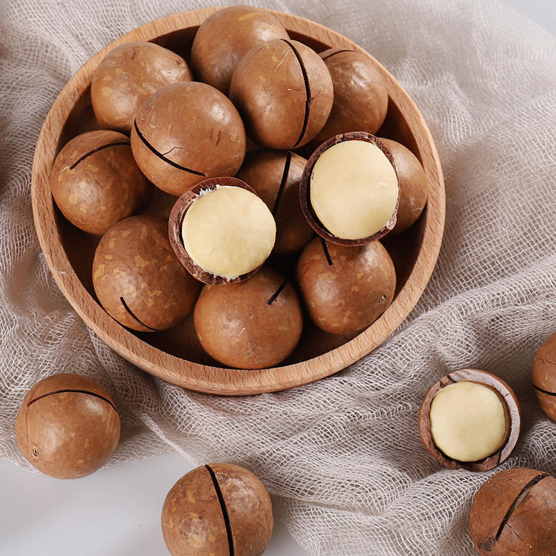 Medium Capsules Macadamia Nuts Factory Direct 5kg / Box Wholesale Price Nuts Supplier