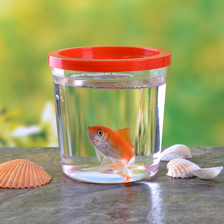 Dou Fish Cup Jellyfish Cup Wholesale Dou Fish Tank Dou Fish Box Mini Small Transparent Plastic Cup with Lid Fish Tank