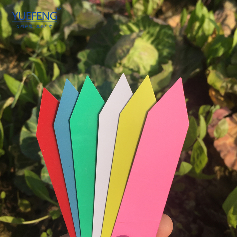 Оптовая пластиковая этикетка для суккулентов, вставка для маркировки растений