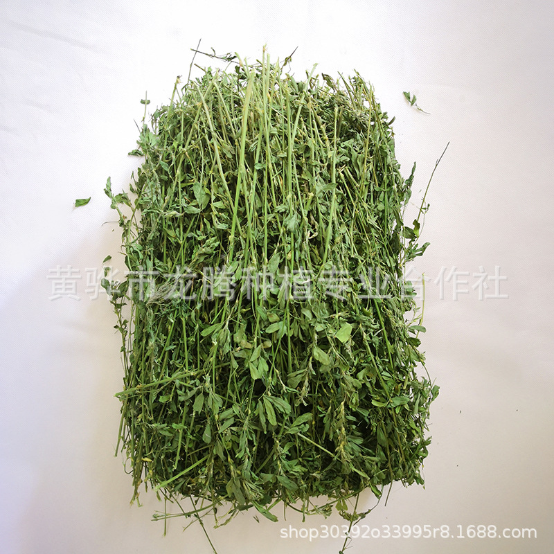 2025 Drying Alfalfa Grass Rabbit Chinchilla Guinea Pig Pet Food Alfalfa Pasture 1kg Box