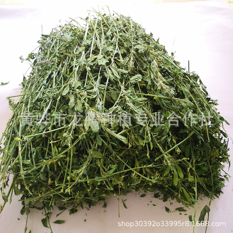 2025 Drying Alfalfa Grass Rabbit Chinchilla Guinea Pig Pet Food Alfalfa Pasture 1kg Box