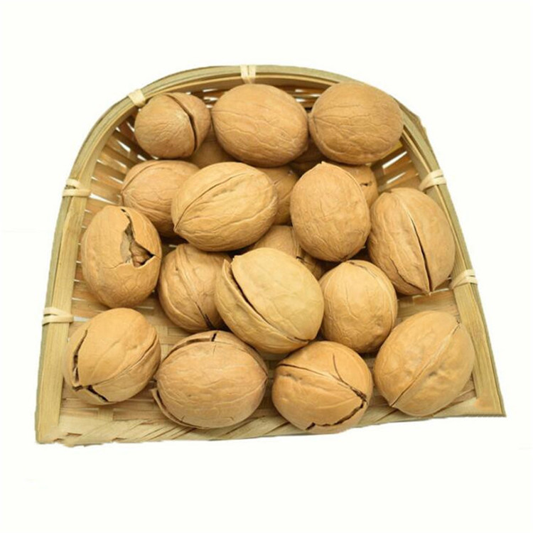 New Arrivals in Season Xinjiang Specialty Aksu Walnuts Bulk Thin-Skinned Large Walnuts Thin-Skinned New Walnuts Dropshipping